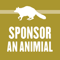 Sponsor and Animal