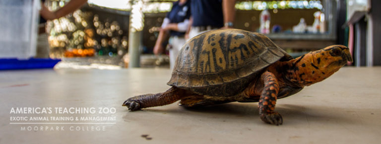 Moorpark College Zoo – Exotic Animal Training & Management