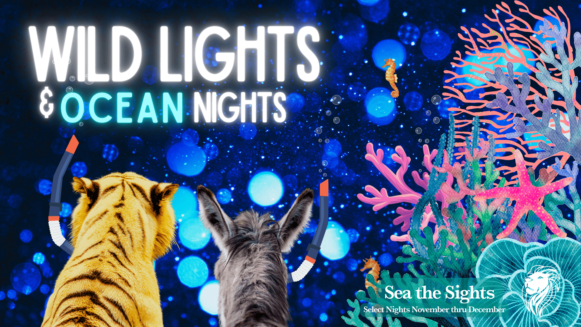 Ocean Nights (2)-min