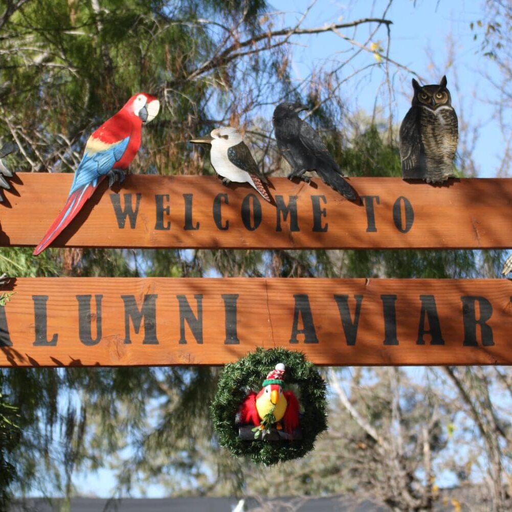 Alumni Aviary